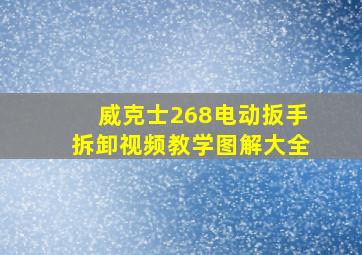 威克士268电动扳手拆卸视频教学图解大全