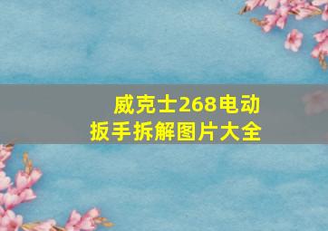 威克士268电动扳手拆解图片大全