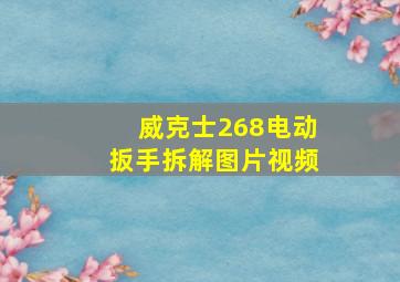 威克士268电动扳手拆解图片视频