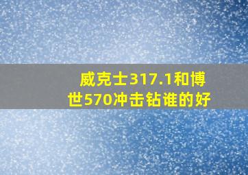 威克士317.1和博世570冲击钻谁的好