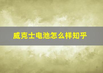 威克士电池怎么样知乎