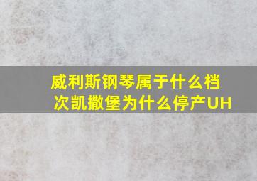 威利斯钢琴属于什么档次凯撒堡为什么停产UH