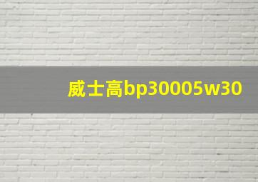 威士高bp30005w30