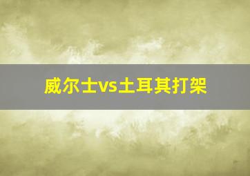 威尔士vs土耳其打架