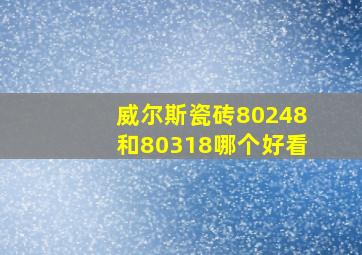 威尔斯瓷砖80248和80318哪个好看