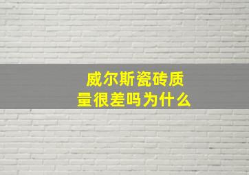 威尔斯瓷砖质量很差吗为什么