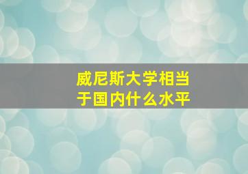 威尼斯大学相当于国内什么水平