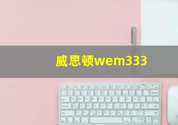 威思顿wem333