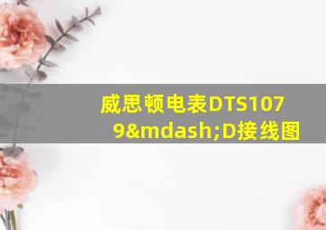 威思顿电表DTS1079—D接线图