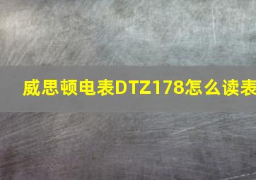 威思顿电表DTZ178怎么读表