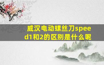 威汉电动螺丝刀speed1和2的区别是什么呢