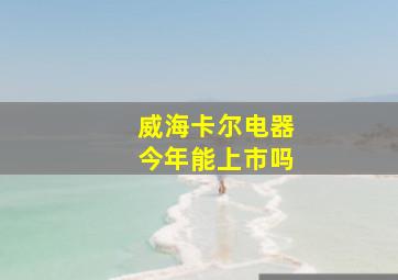 威海卡尔电器今年能上市吗