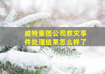 威特集团公司救灾事件处理结果怎么样了