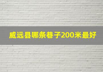 威远县哪条巷子200米最好