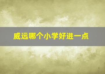 威远哪个小学好进一点