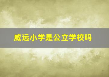 威远小学是公立学校吗