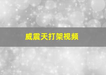 威震天打架视频