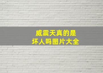 威震天真的是坏人吗图片大全