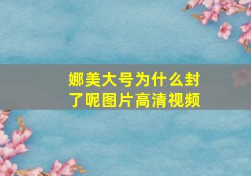 娜美大号为什么封了呢图片高清视频