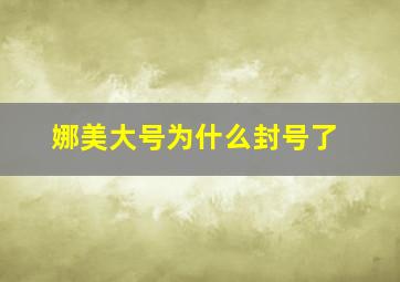 娜美大号为什么封号了