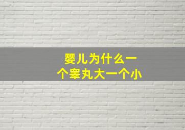 婴儿为什么一个睾丸大一个小