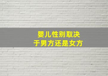 婴儿性别取决于男方还是女方