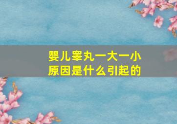 婴儿睾丸一大一小原因是什么引起的