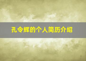 孔令辉的个人简历介绍