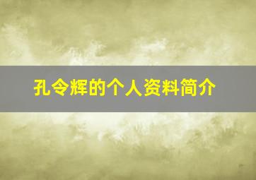 孔令辉的个人资料简介