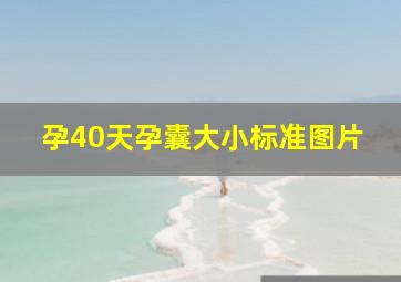 孕40天孕囊大小标准图片