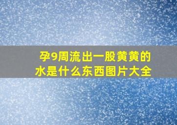 孕9周流出一股黄黄的水是什么东西图片大全