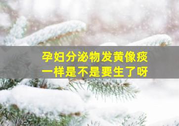 孕妇分泌物发黄像痰一样是不是要生了呀