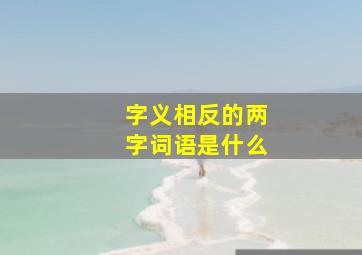 字义相反的两字词语是什么