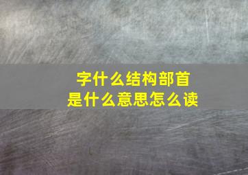 字什么结构部首是什么意思怎么读