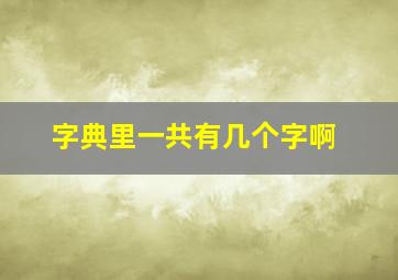 字典里一共有几个字啊