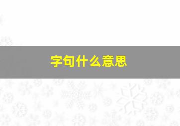 字句什么意思