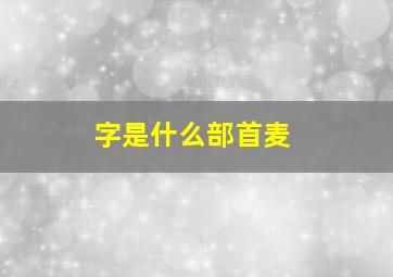 字是什么部首麦