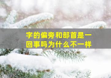 字的偏旁和部首是一回事吗为什么不一样