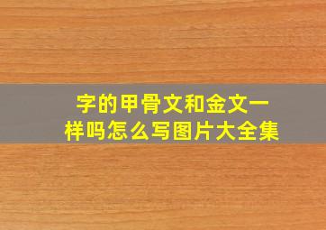 字的甲骨文和金文一样吗怎么写图片大全集