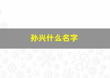 孙兴什么名字