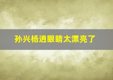 孙兴杨逍眼睛太漂亮了