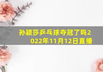 孙颖莎乒乓球夺冠了吗2022年11月12日直播