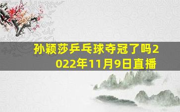 孙颖莎乒乓球夺冠了吗2022年11月9日直播