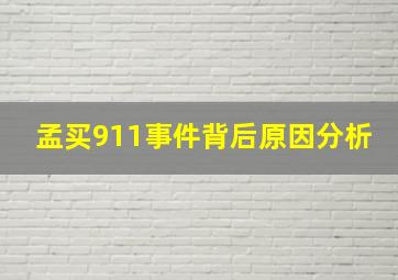 孟买911事件背后原因分析