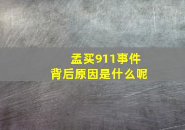 孟买911事件背后原因是什么呢