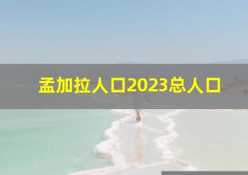 孟加拉人口2023总人口