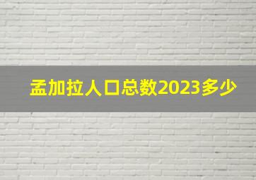 孟加拉人口总数2023多少