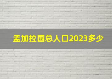 孟加拉国总人口2023多少