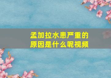 孟加拉水患严重的原因是什么呢视频