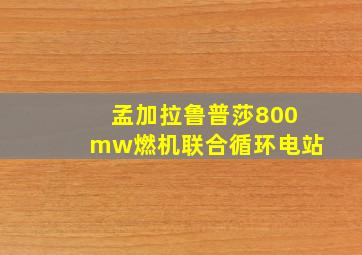 孟加拉鲁普莎800mw燃机联合循环电站